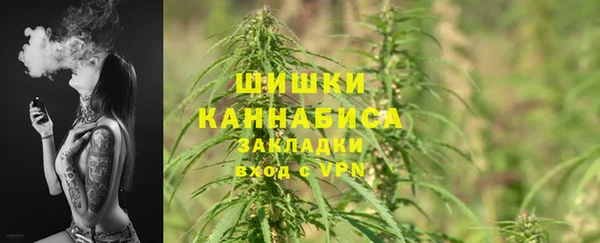 твердый Богданович