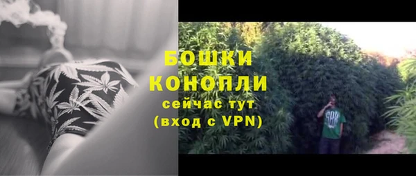 твердый Богданович