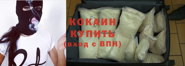 твердый Богданович