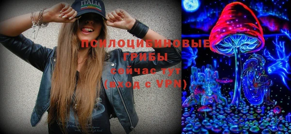 твердый Богданович
