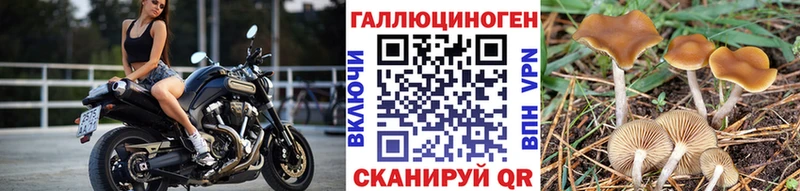 Псилоцибиновые грибы мухоморы Верхотурье